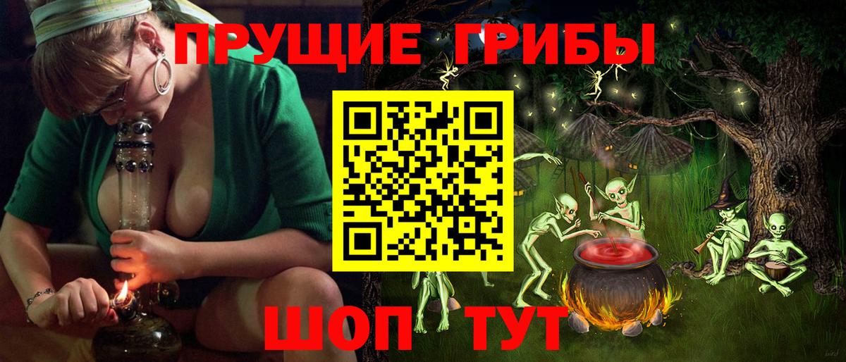 Галлюциногенные грибы Psilocybe Бугуруслан