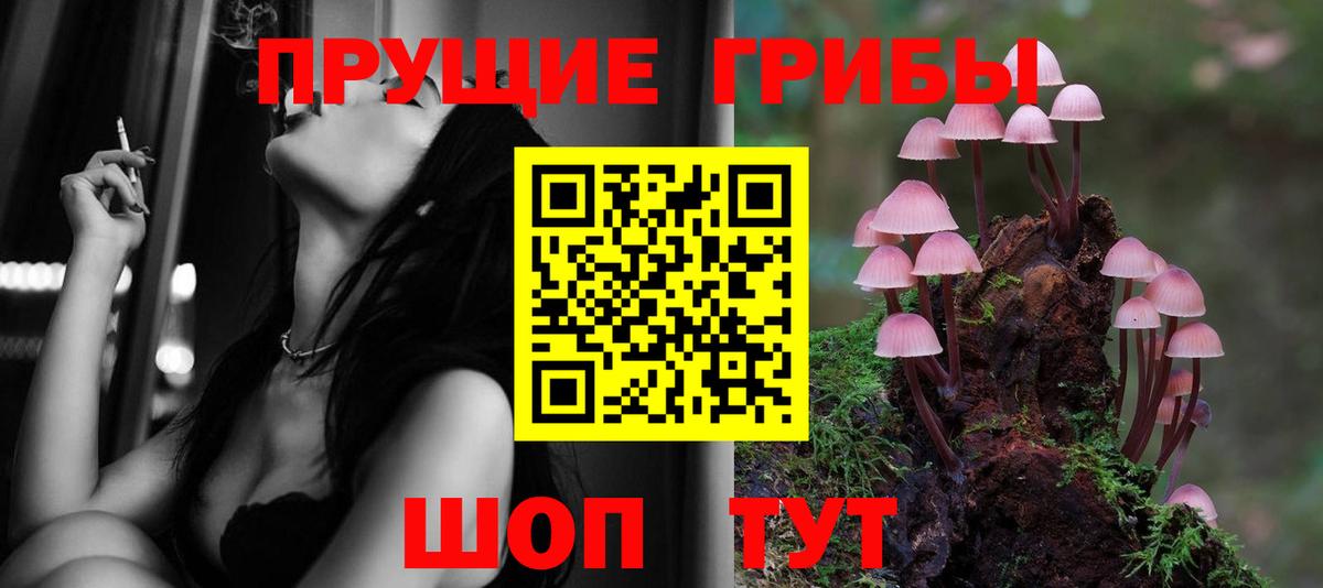 Галлюциногенные грибы GOLDEN TEACHER  Вход с VPN  Псилоцибиновые грибы MAGIC MUSHROOMS  Бугуруслан 